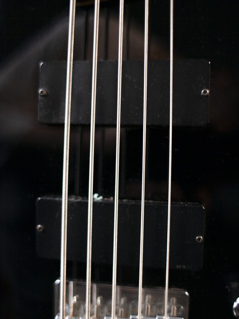 2001 Ibanez SDGR SR305DX Bass 04